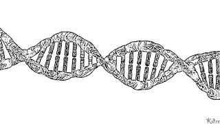 Science Ausmalbilder Zum Ausdrucken